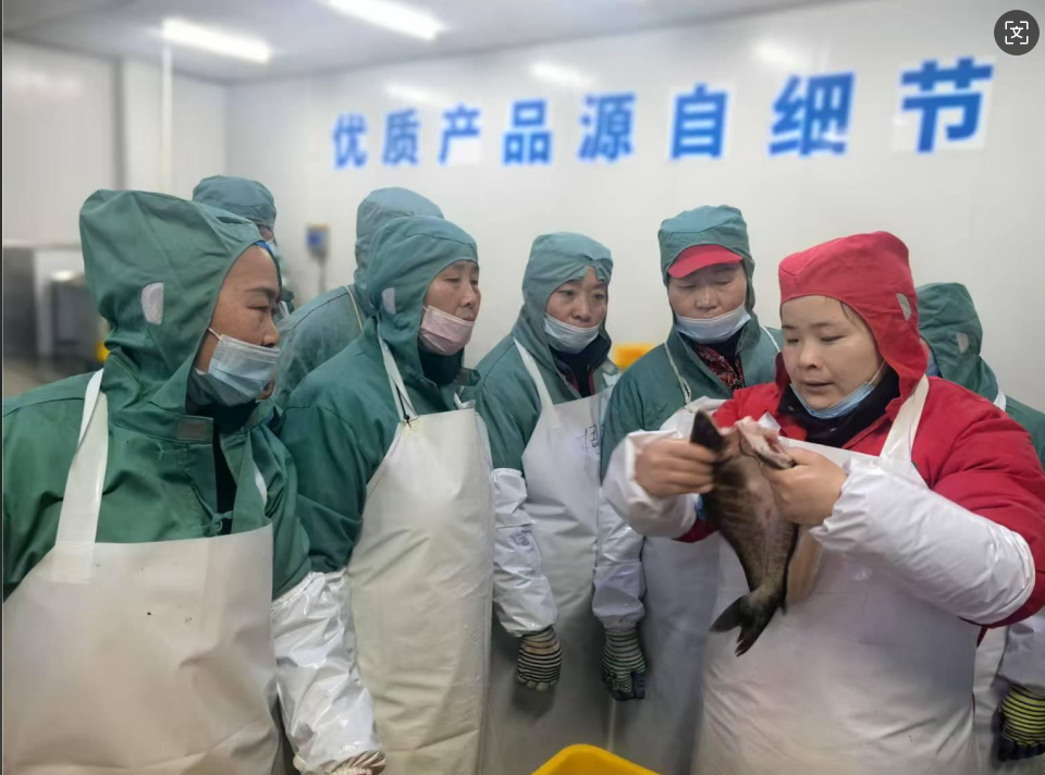 UUµçÍæ-Öйú¹Ù·½ÍøÕ¾